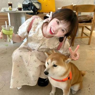 开膛少女的异想世界